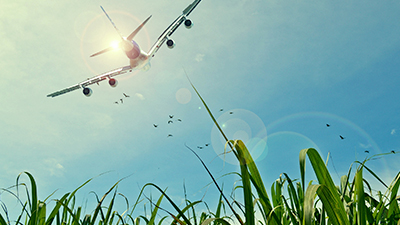 wwpic134.jpg wwpic134.jpg